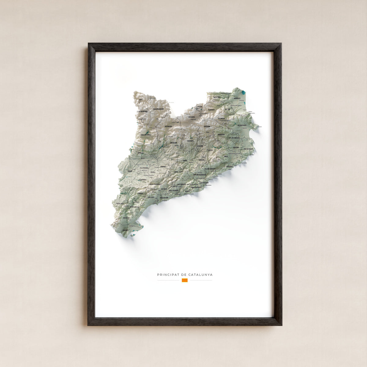 Mapa del relieve de Principat de Catalunya · Cartográfico · 61 × 91 cm · Lámina enmarcada