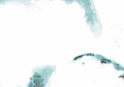 CARIBBEAN. Mapa de relieve con contraste.