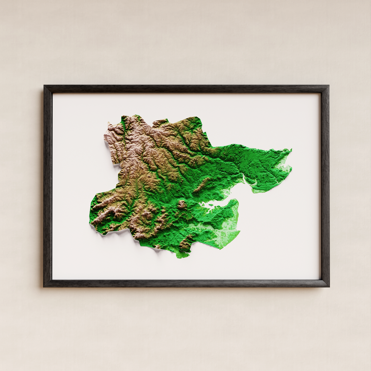 ESSEX. Mapa de relleu artístic / paleta clàssica