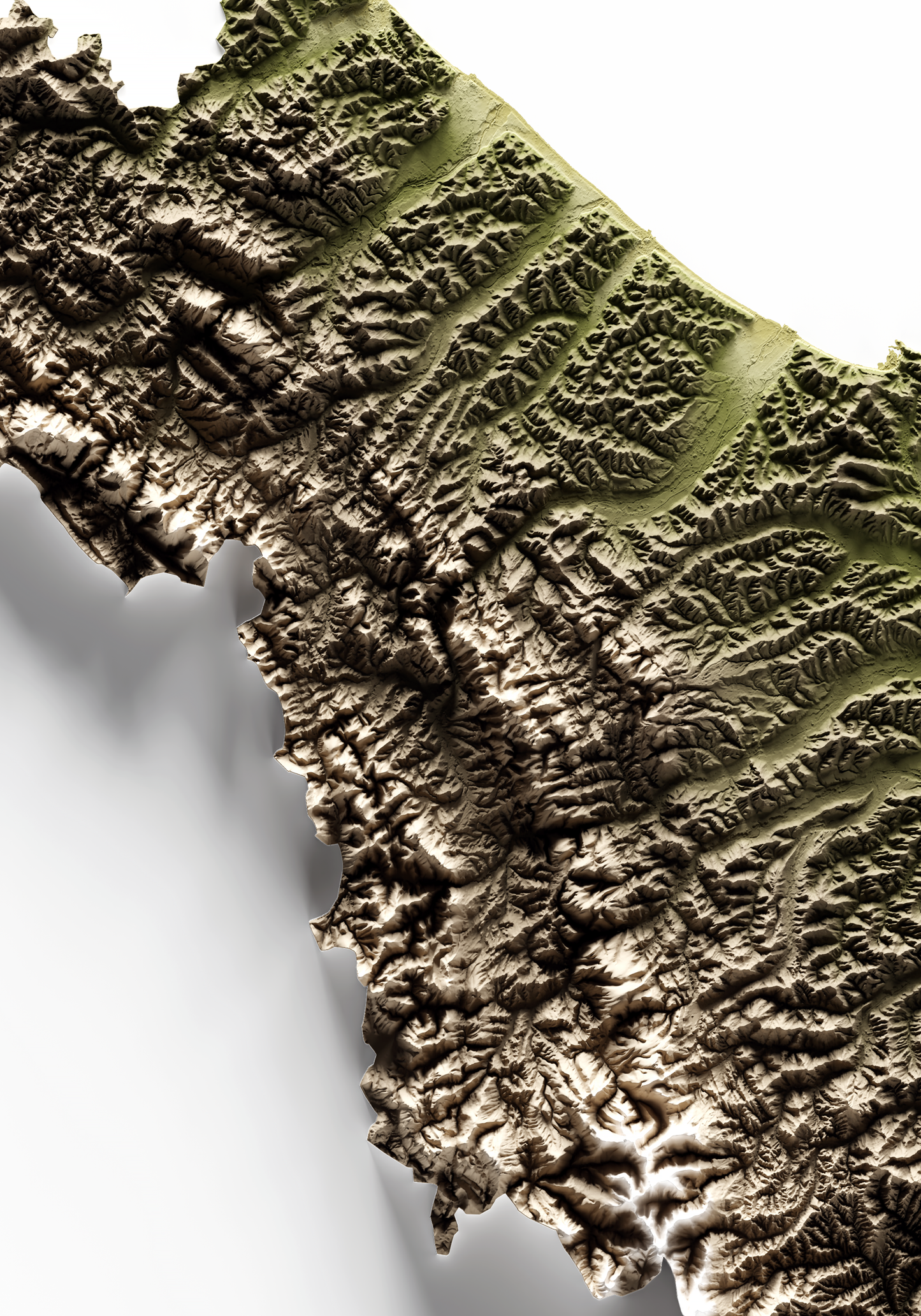 MARCHE. Mapa de relieve en colores terrosos.