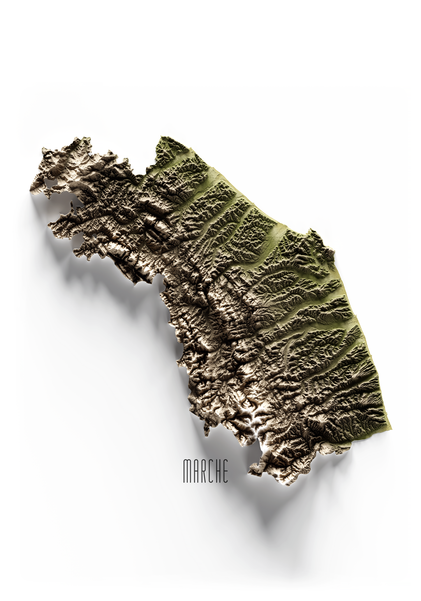 MARCHE. Mapa de relieve en colores terrosos.