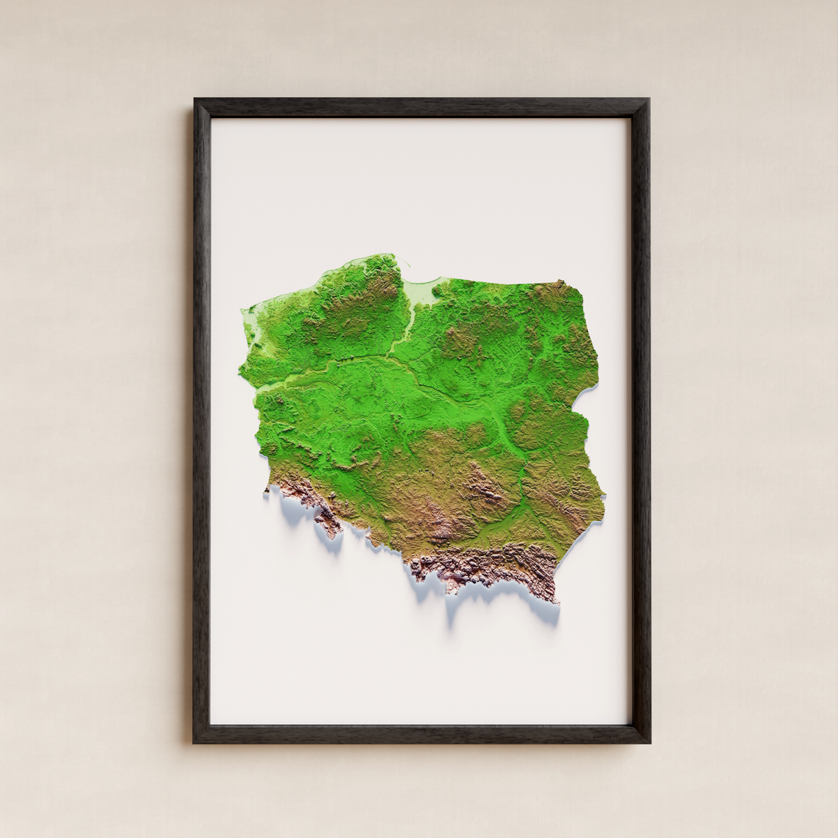 POLÒNIA. Mapa de relleu artístic / paleta clàssica