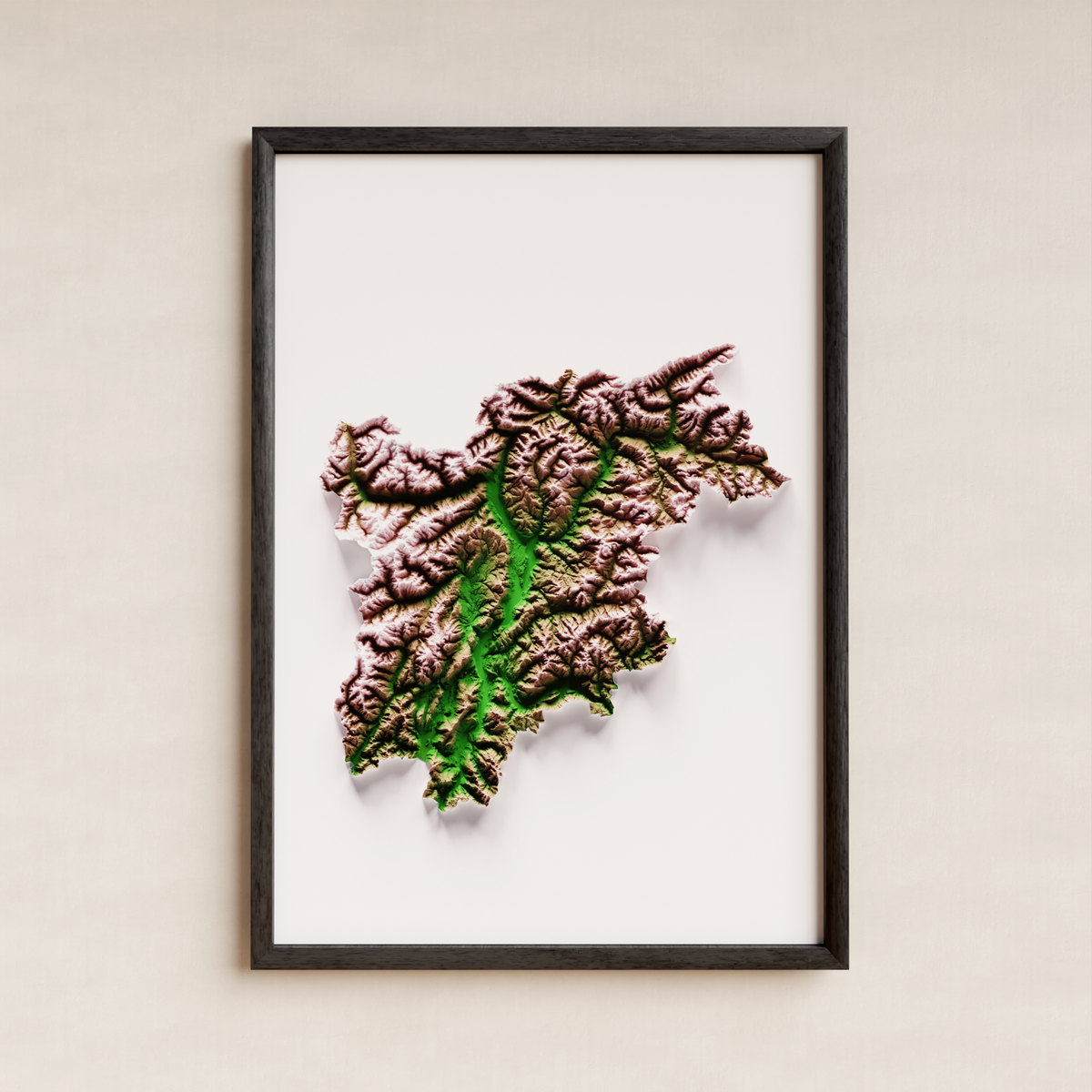 TRENTINO-ALTO ADIGE. Mapa de relieve artístico / paleta clásica