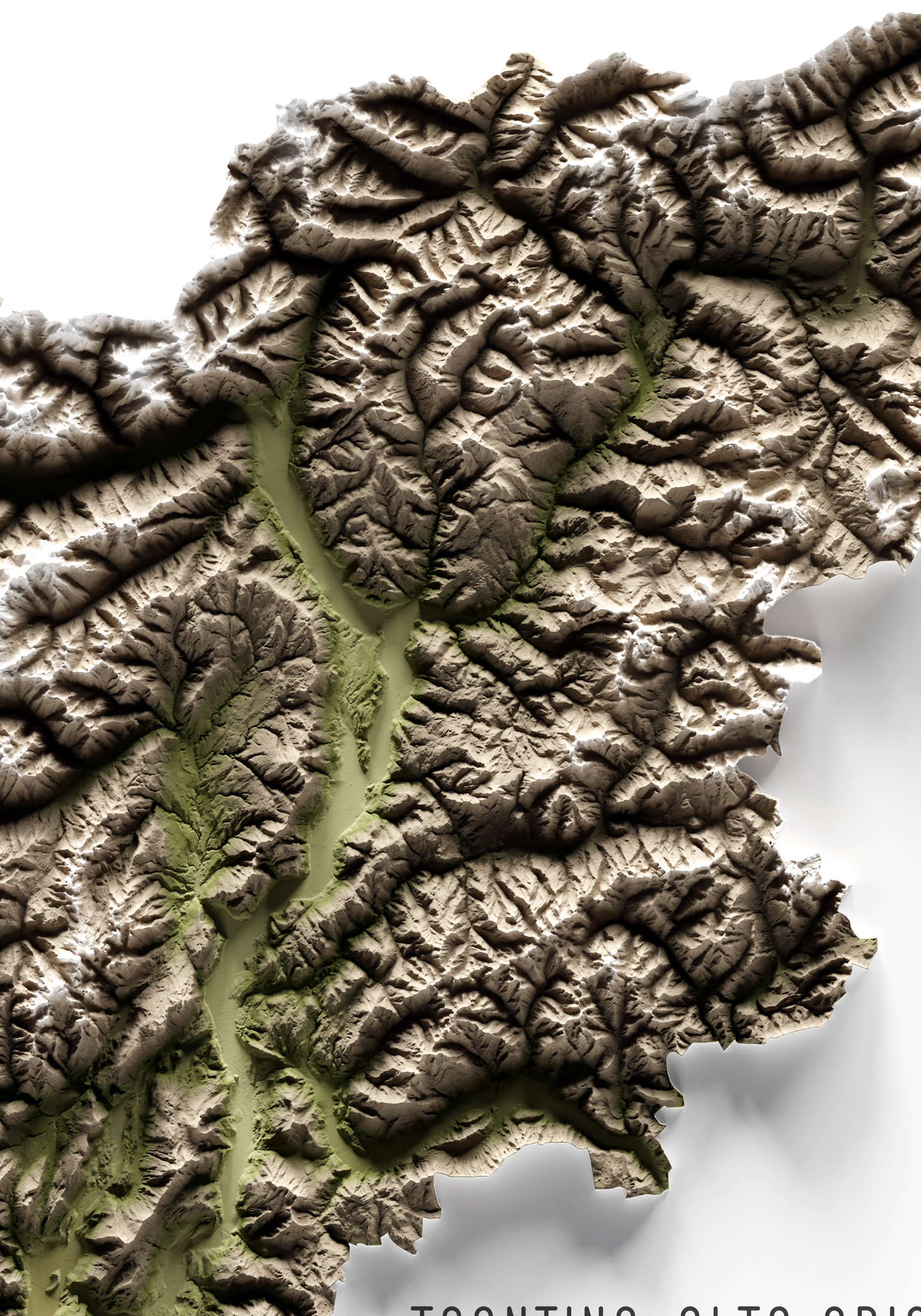 TRENTINO-ALTO ADIGIO. Mapa de relieve en colores terrosos.
