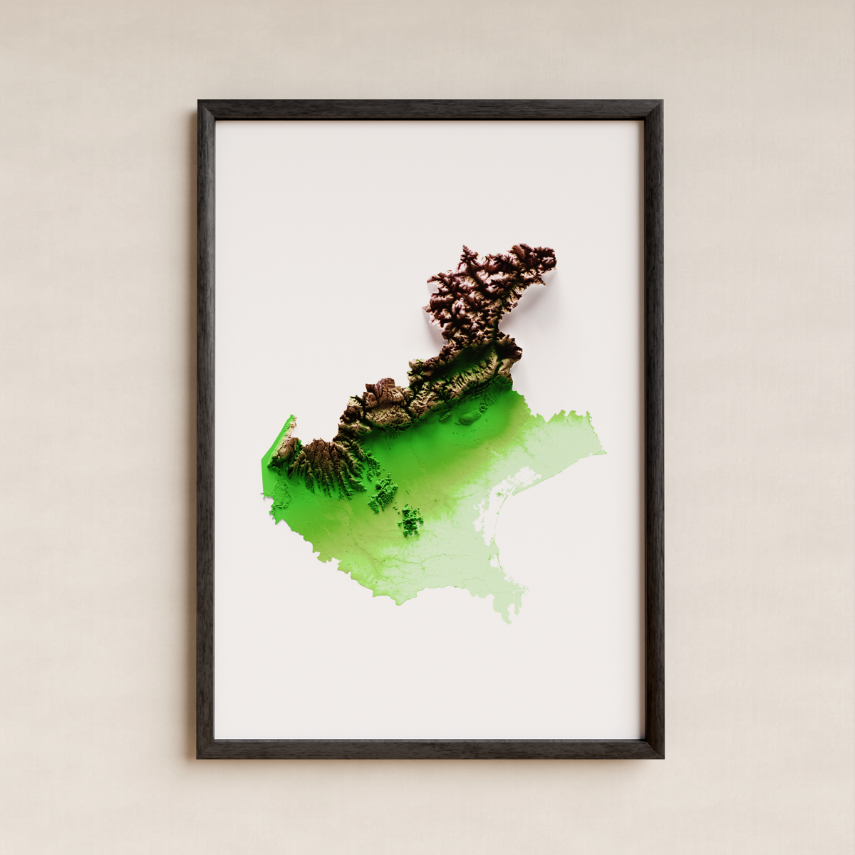 VENETO. Mapa de relieve artístico / paleta clásica