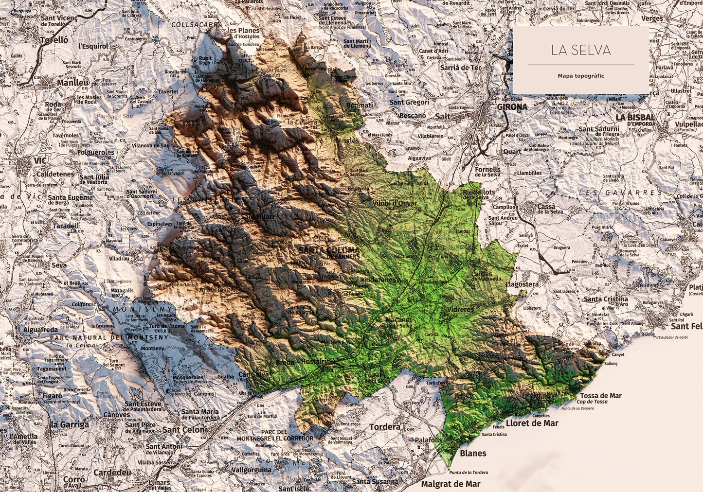 LA SELVA. Mapa topográfico.