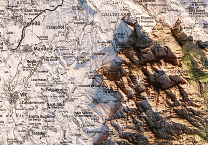 LA SELVA. Mapa topográfico.