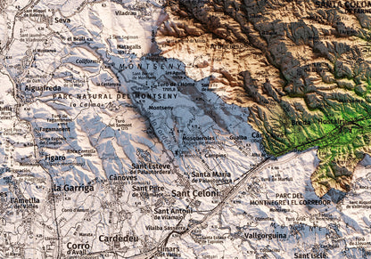 LA SELVA. Mapa topográfico.