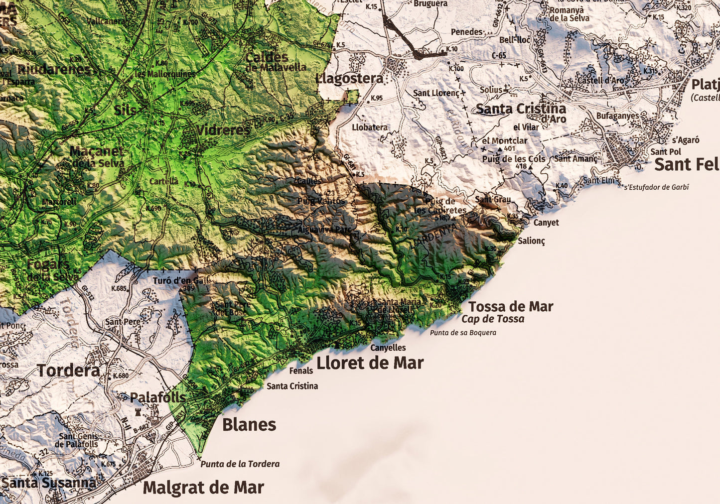 LA SELVA. Mapa topográfico.