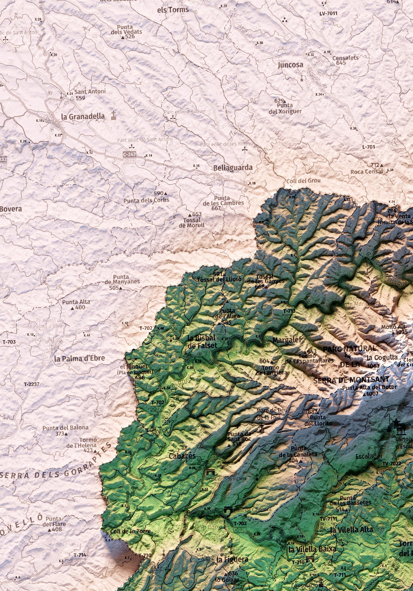 EL PRIORAT. Mapa topográfico.