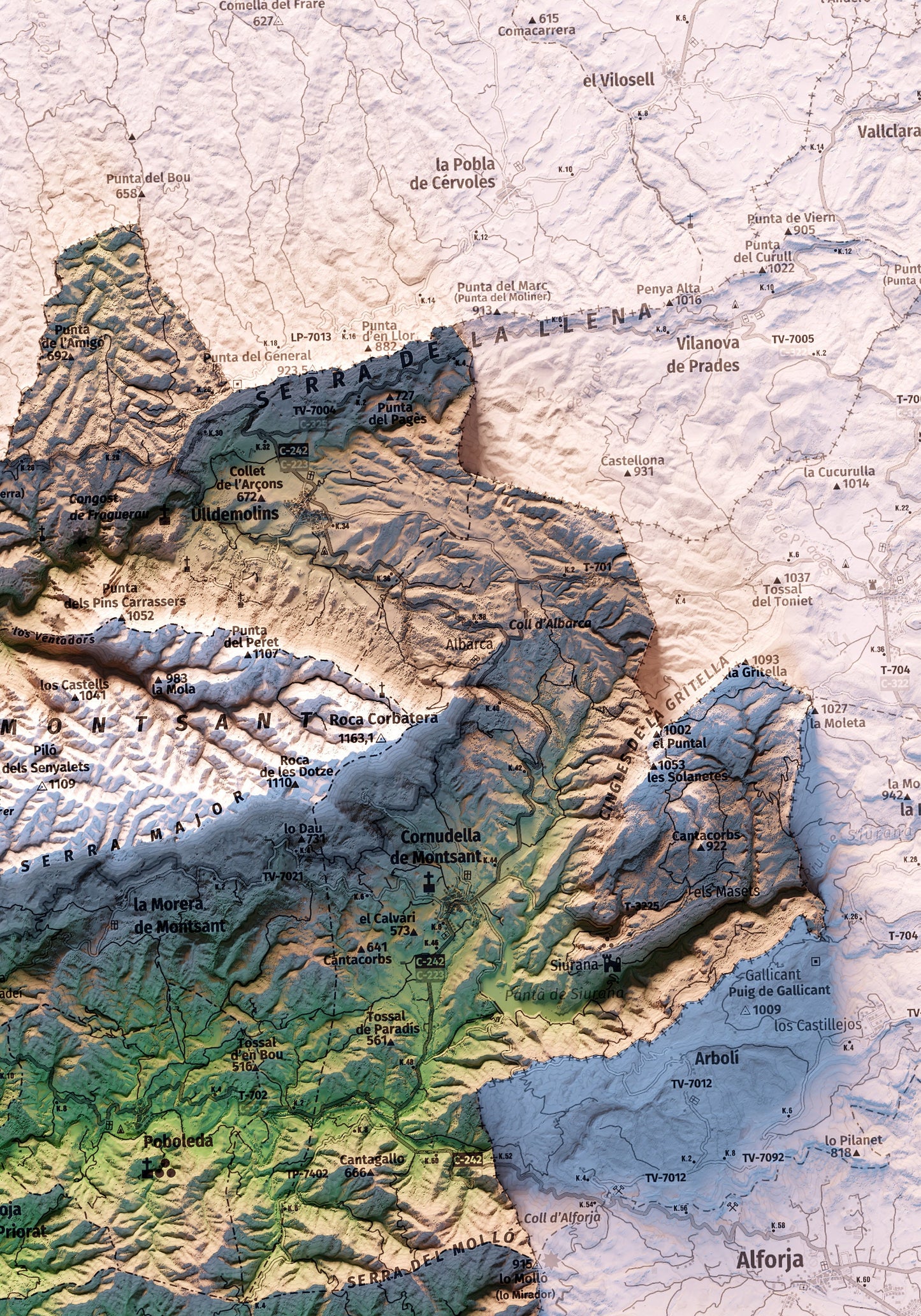 EL PRIORAT. Mapa topográfico.