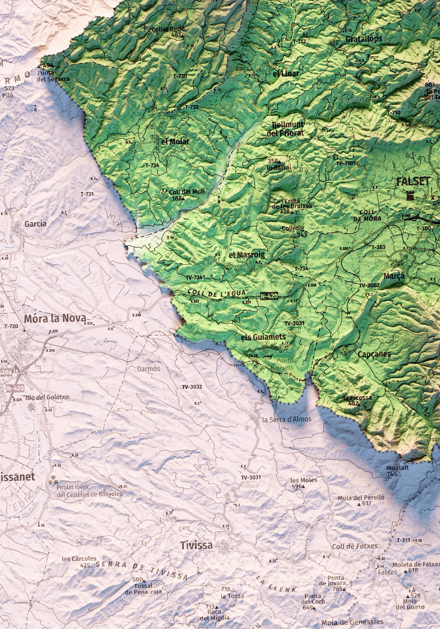 EL PRIORAT. Mapa topográfico.