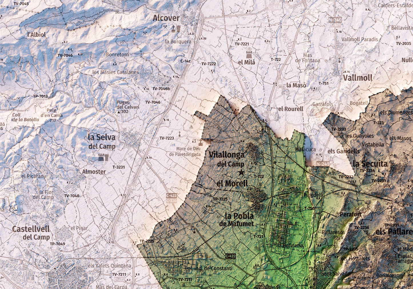 EL TARRAGONÈS. Mapa topográfico.