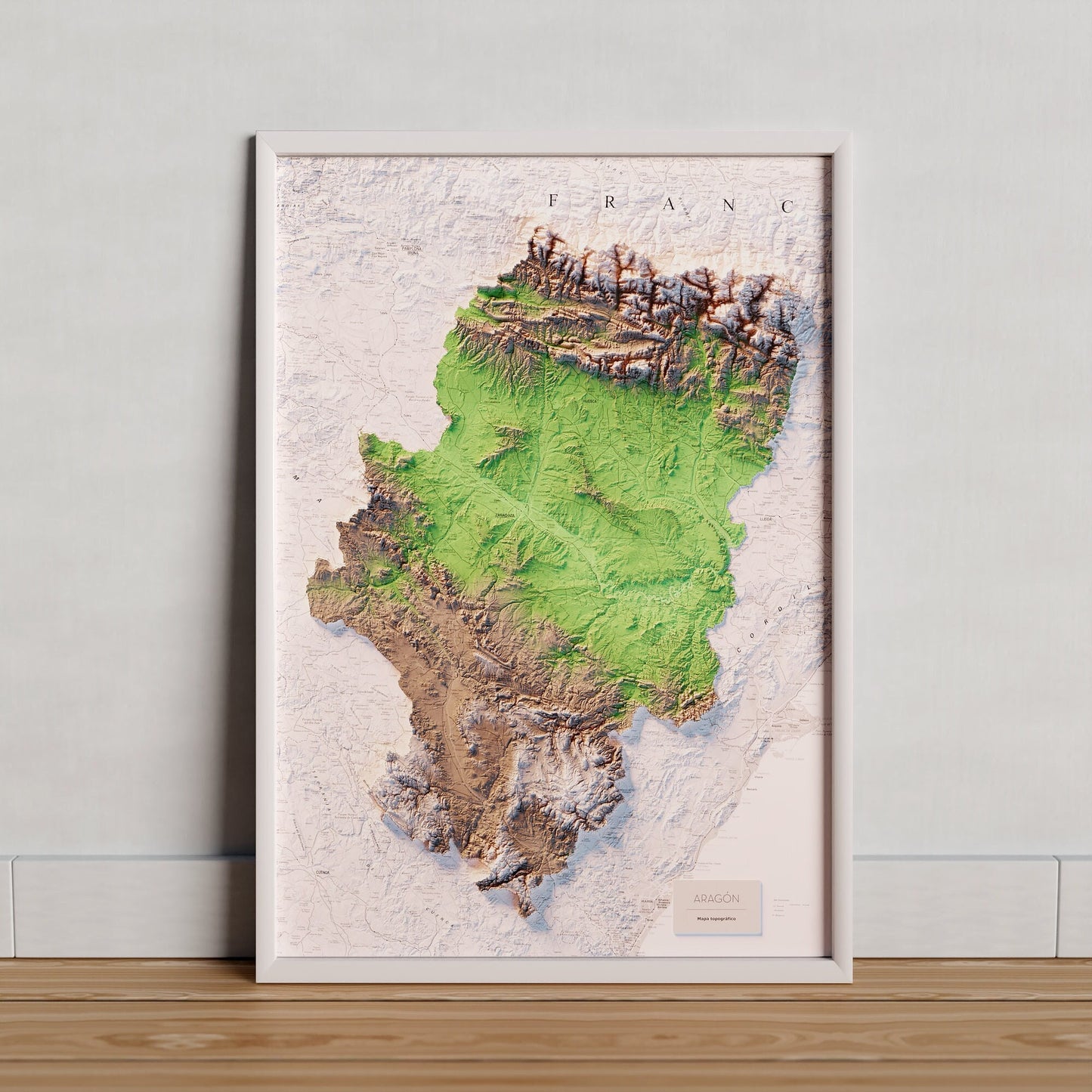 ARAGÓN. Mapa topográfico.