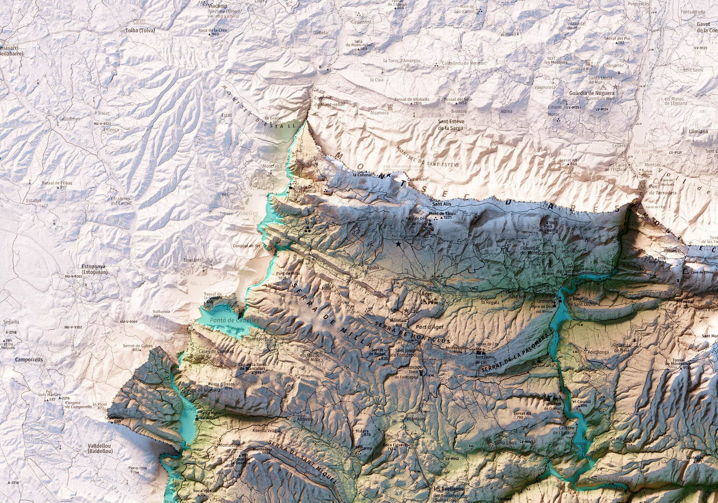 LA NOGUERA. Mapa topográfico.