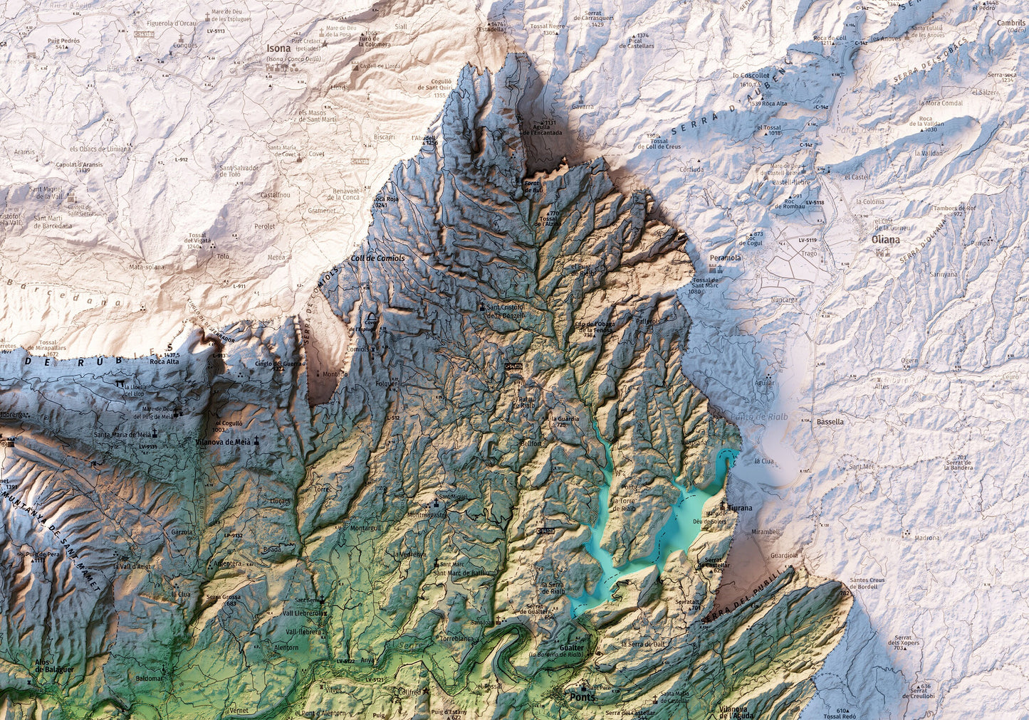 LA NOGUERA. Mapa topográfico.