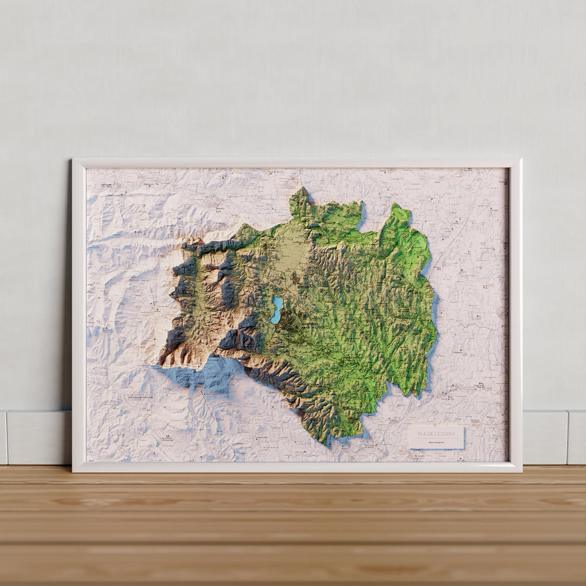EL PLA DE L’ESTANY. Mapa topográfico artístico en color