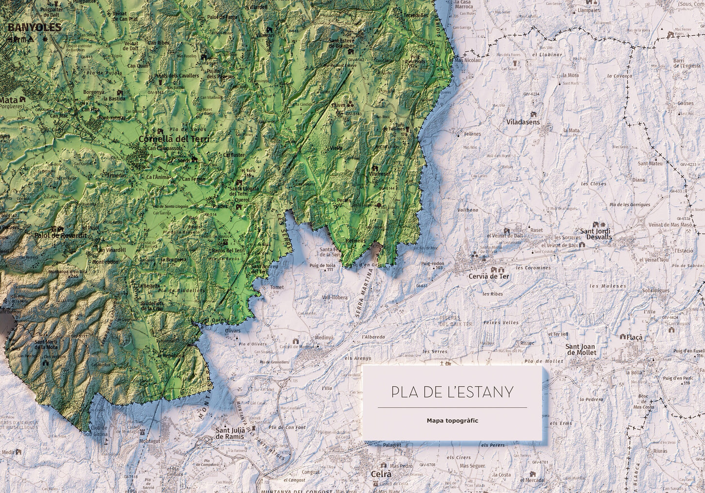 EL PLA DE L'ESTANY. Mapa topográfico.