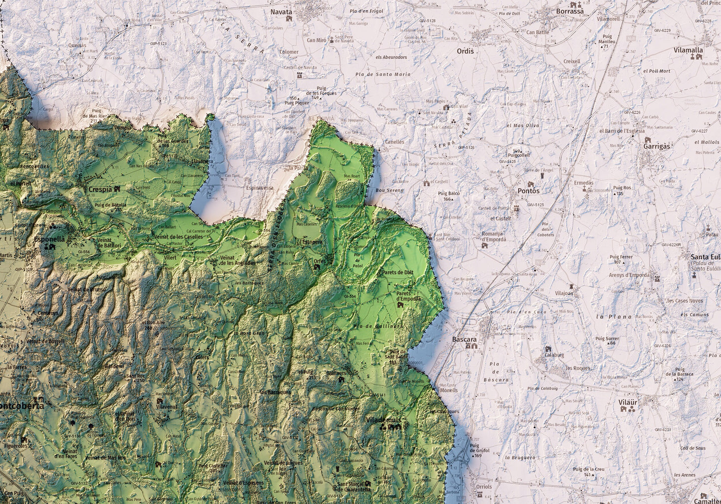 EL PLA DE L'ESTANY. Mapa topográfico.