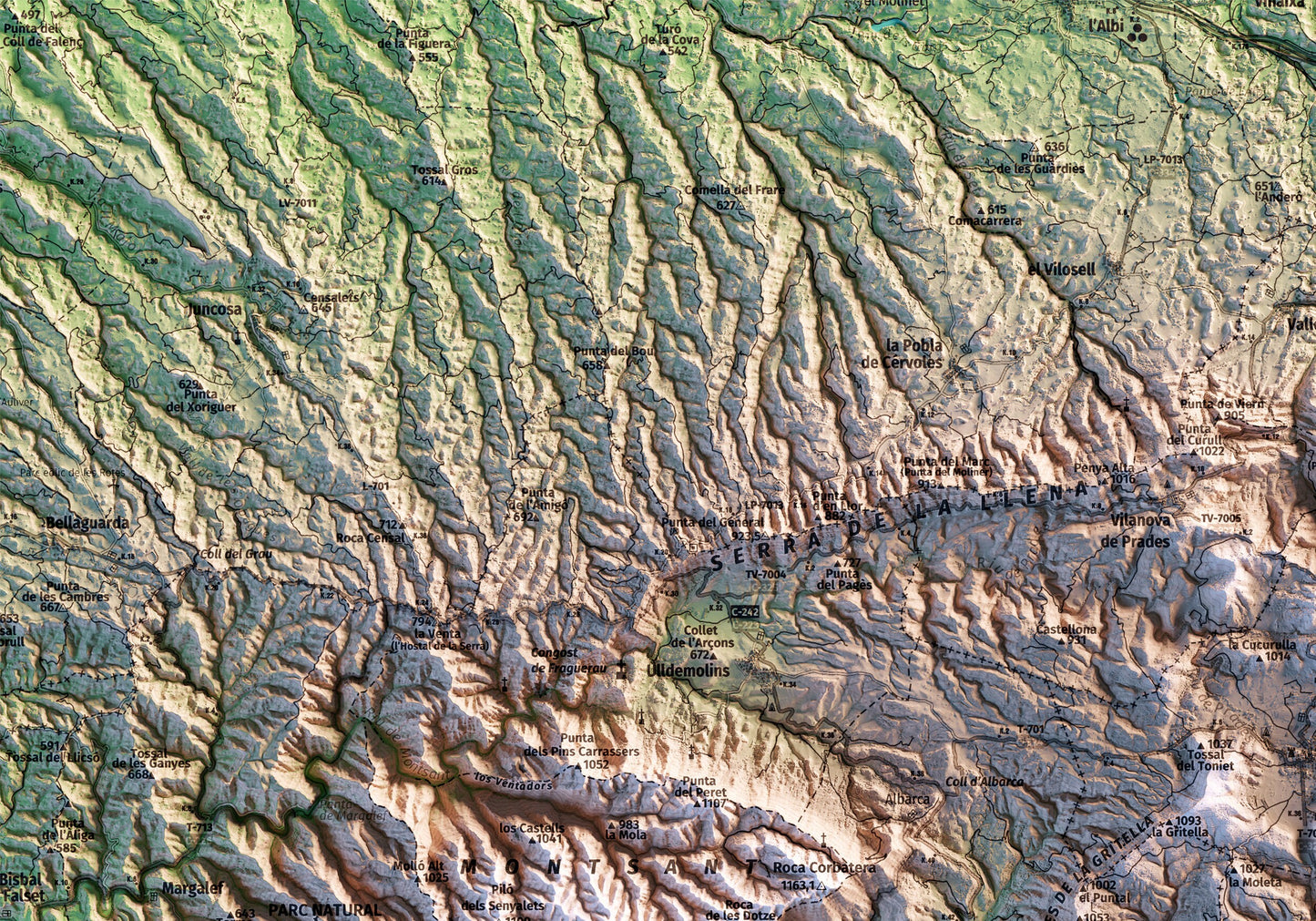 MUNTANYES DE PRADES. Mapa topográfico.