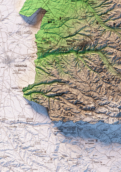 LA SEGARRA. Mapa topográfico.