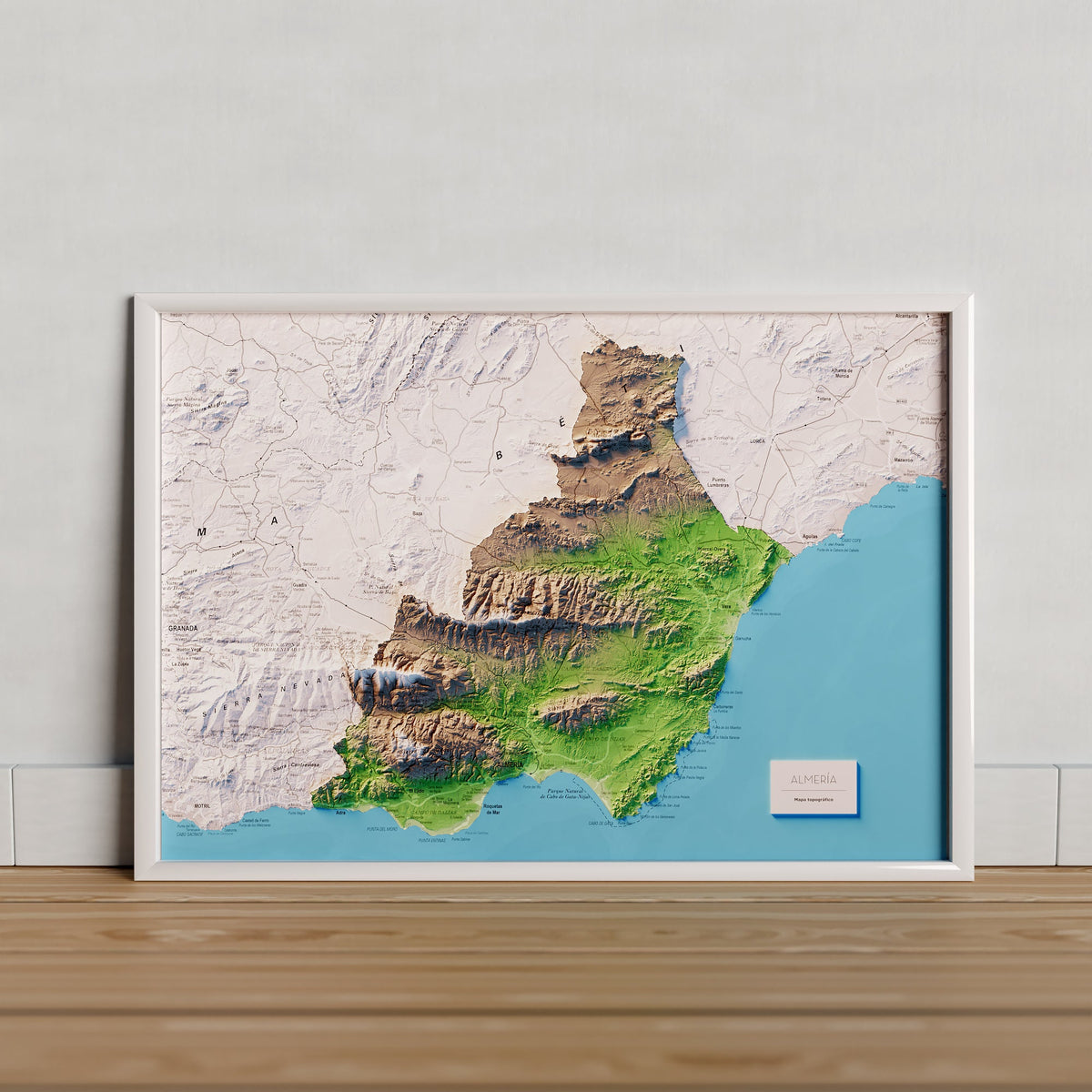 PROVÍNCIA D'ALMERIA. Mapa topogràfic artístic en color