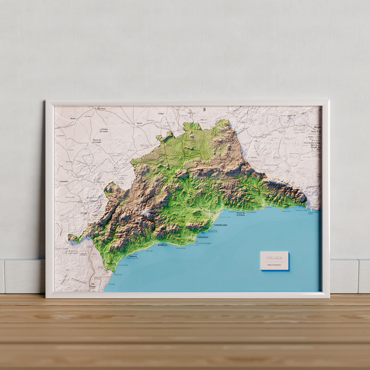 MÁLAGA. Mapa topogràfic artístic de la província