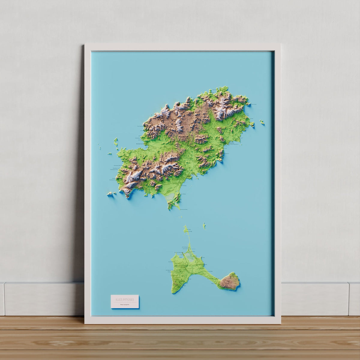 ILLES PITIÜSES (EIVISSA Y FORMENTERA). Mapa topográfico en color