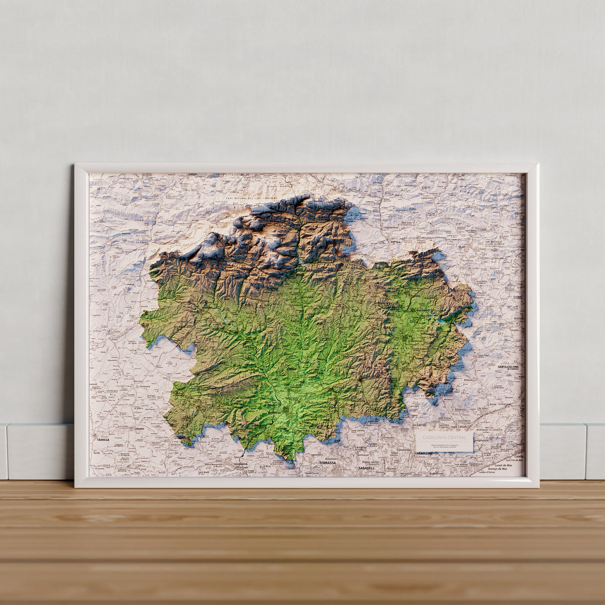 CATALUNYA CENTRAL. Mapa topogràfic artístic en color