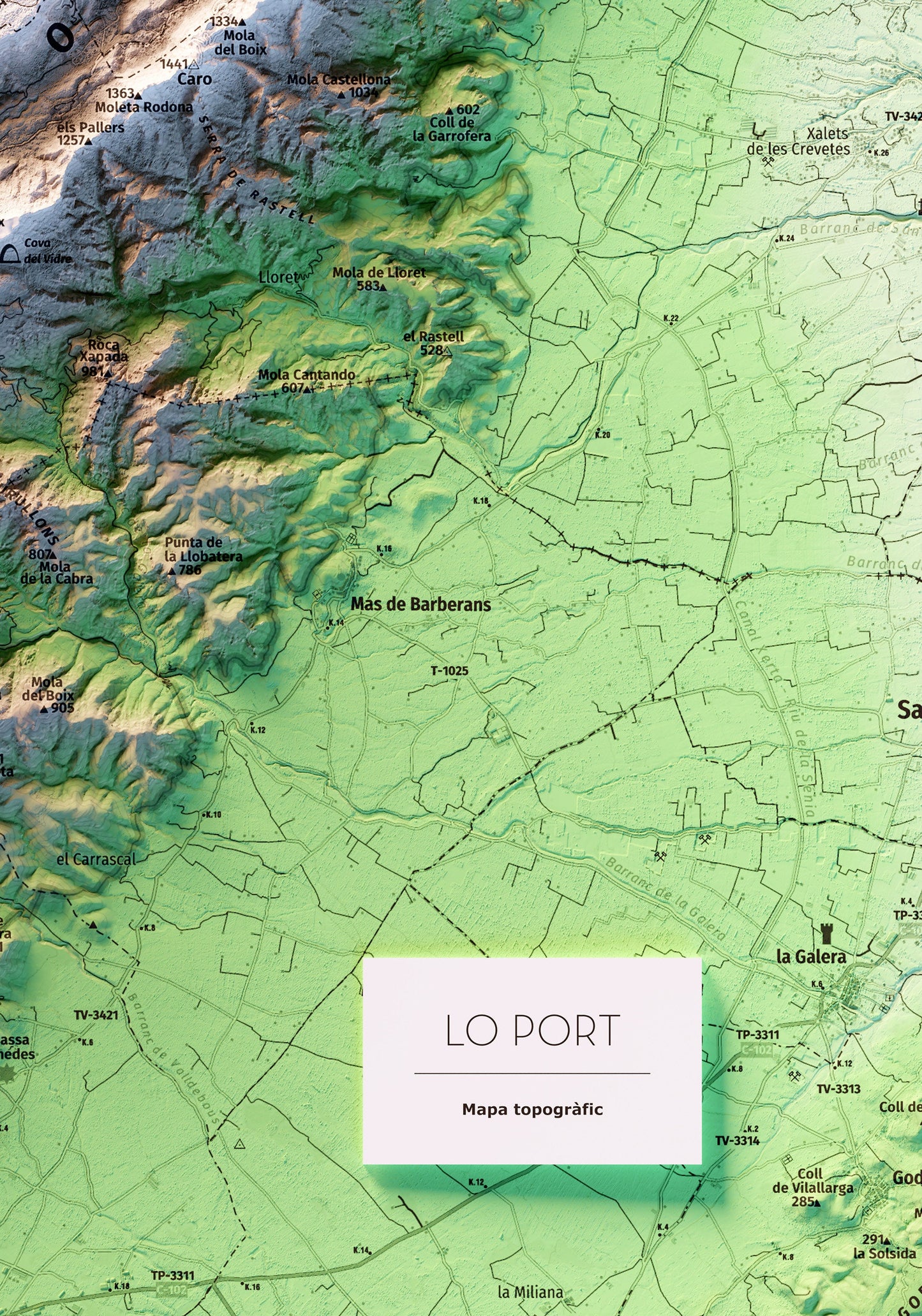 PARC NATURAL DELS PORTS (LO PORT). Mapa topográfico sense delimitació de contorn.