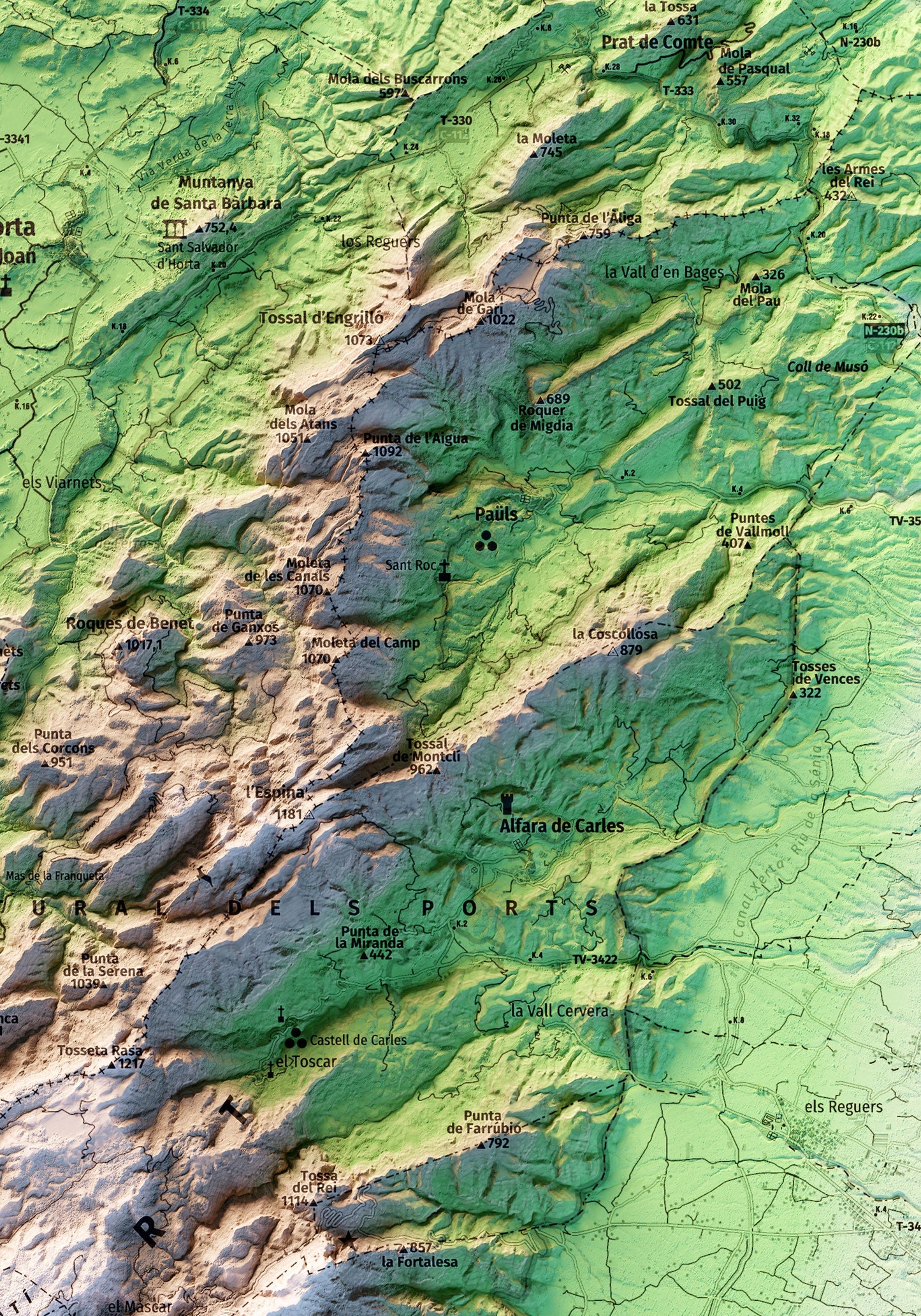 PARC NATURAL DELS PORTS (LO PORT). Mapa topográfico sense delimitació de contorn.