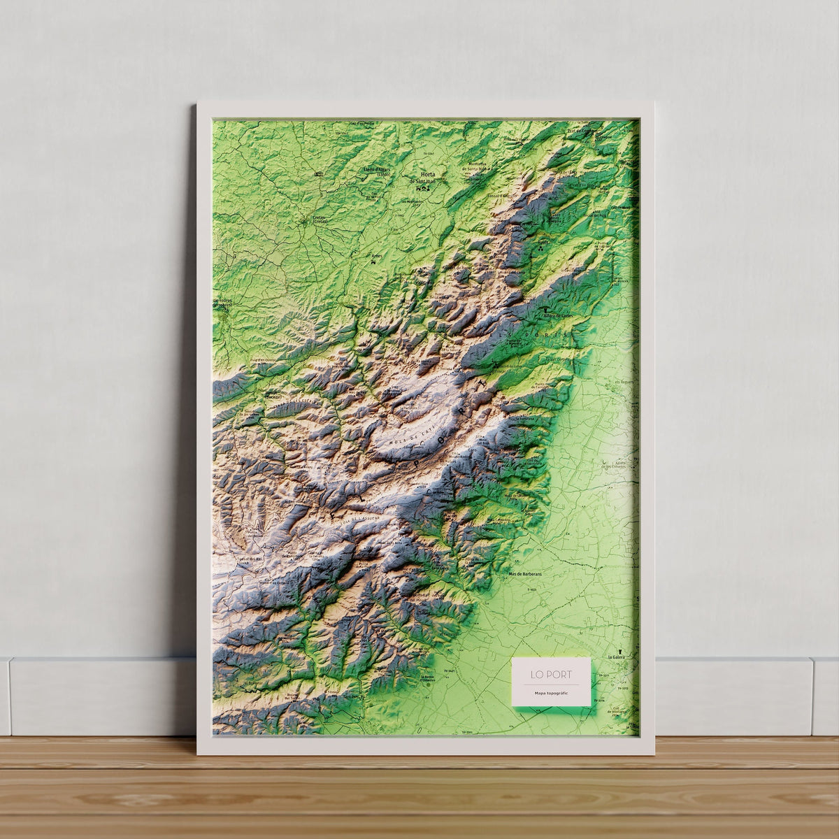 PARC NATURAL DELS PORTS (LO PORT). Mapa topográfico sin contorno